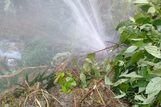 daño 20 - 15 de junio