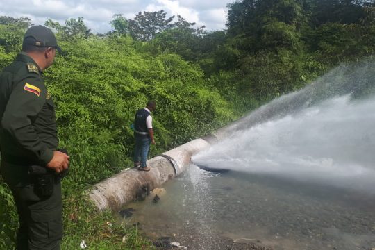 WhatsApp Image 2019-01-15 at 11.04.15 AM (1)