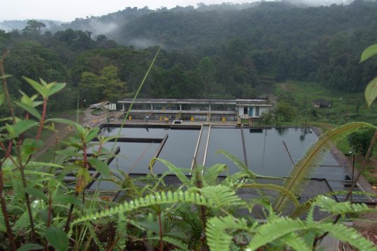 La Planta de Escalerete hace el proceso de potabilización del agua para abastecer a un 30% de la ciudad.