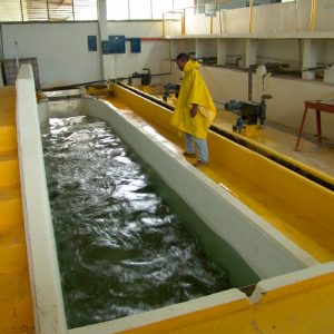 La Planta de Venecia potabiliza el agua para abastecer al 70% de la ciudad.