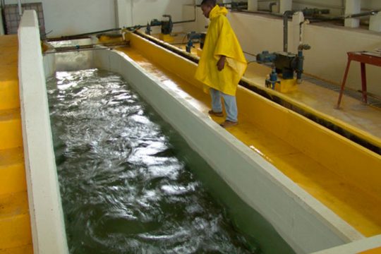 La Planta de Venecia potabiliza el agua para abastecer al 70% de la ciudad.