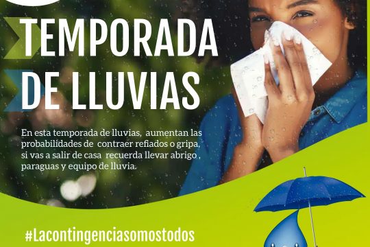 Copia de Cleaning Services Ad - Hecho con PosterMyWall (1)