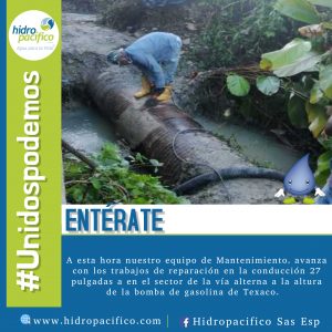 Copia de EMPLOYEE SPOTLIGHT - Hecho con PosterMyWall