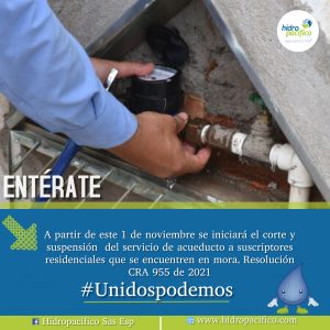 Copia de cleaning service spring cleaning spring - Hecho con PosterMyWall (4)