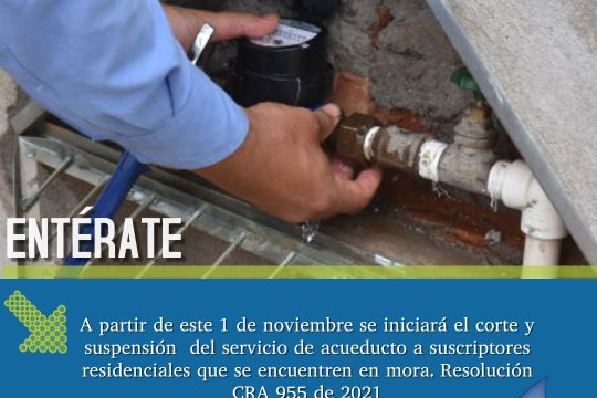 Copia de cleaning service spring cleaning spring - Hecho con PosterMyWall (4)
